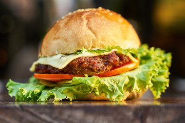 Delicious Hamburger