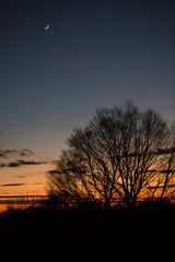 Fototapeta premium Sunset sky
