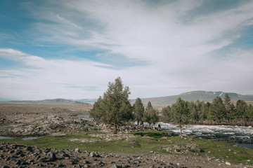 landscape with mountains, forest and a river in front. beautiful scenery