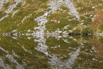 Awesome plants and rocks reflection on lake in a stunning morning