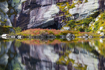 Awesome plants and rocks reflection on lake in a stunning morning