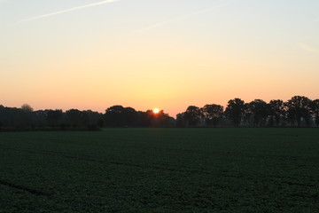 Sunrise over field and forest
