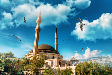 Naklejka premium Beautiful mosque under the blue sky with seagulls.