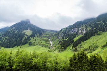 Fototapeta na wymiar ein Nadelwald in Österreich, im Hintergrund Berge mit Schnee