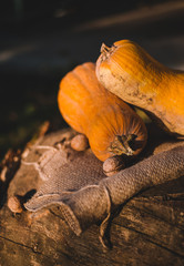 Autumn still life with quince jam, goud, pumpkins, hazelnuts, nuts and leaves on wooden background. Copy space.