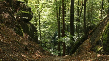 Abstieg zur Elfengrotte bei Eisenach 
