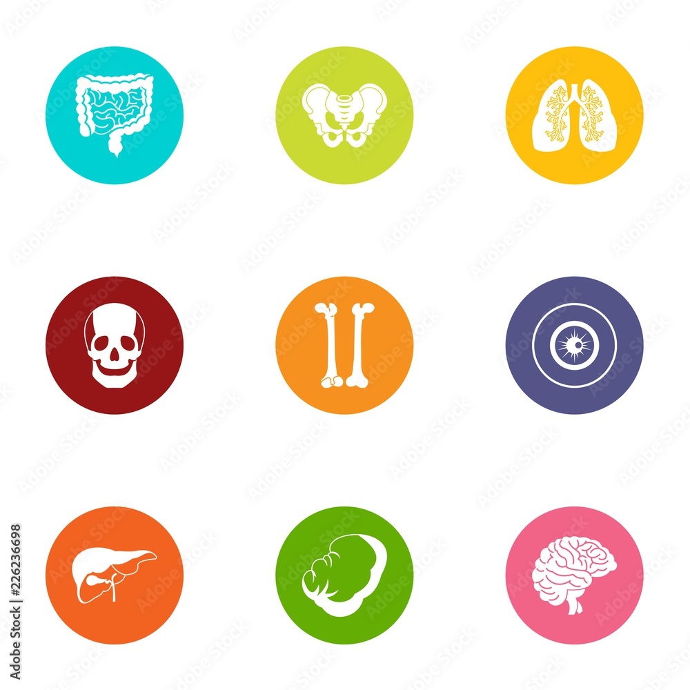 Aufkleber state of the carcass icons set. flat set of 9 state of the carcass vector icons for web isolated on 