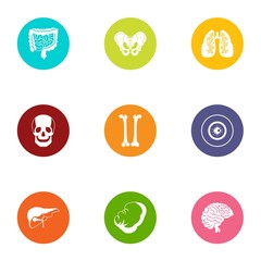 State of the carcass icons set. Flat set of 9 state of the carcass vector icons for web isolated on white background