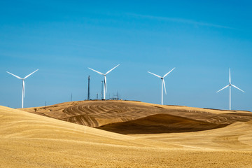 Wind Turbines in Farm Fields Near Colfax, Washington