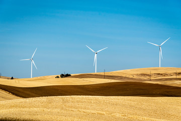 Wind Turbines in Farm Fields Near Colfax, Washington