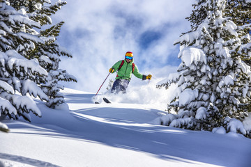 Offpiste skiing in deep powder snow - obrazy, fototapety, plakaty