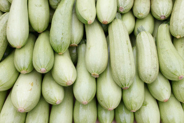 Fresh courgette as backround