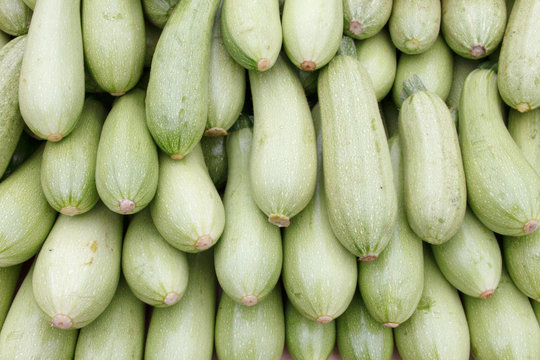 Fresh courgette as backround