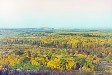 Fototapeta na wymiar picturesque colorful autumn forest landscape