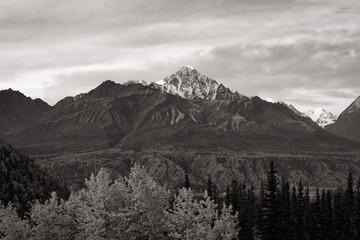 Snow lined mountain peak from Denali Highway in black and white