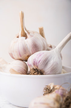 close-up healthy garlic