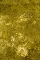 old green rough wall in closeup as background