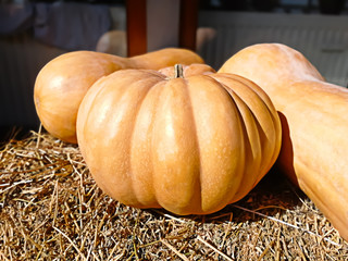 3 pumpkins lying on hay with back blurred background
