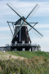 Fototapeta na wymiar Windmühle auf Pellworm