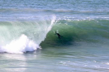 Surfer swimming through a large wave