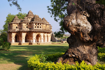 Fototapeta na wymiar A beautiful ancient palace Lotus Mahal in India and a strange tree