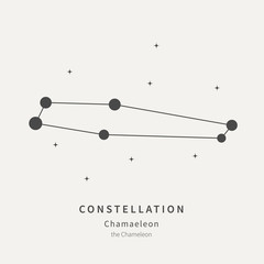The Constellation Of Chamaeleon. The Chameleon - linear icon. Vector illustration of the concept of astronomy.