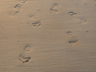 Fototapeta na wymiar Huellas en la arena de la playa