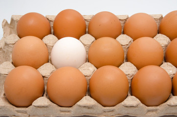 yellow eggs in a paper package
