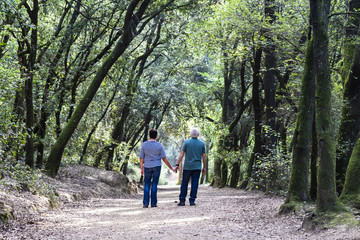 Obraz premium Retired couple walking together on the path of a forest