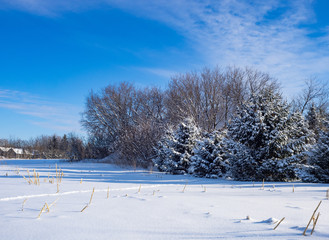 A blue sky after the storm.