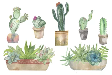 Glasschilderij Cactus in pot Aquarel banner van cactussen in potten en sappige planten geïsoleerd op een witte achtergrond.