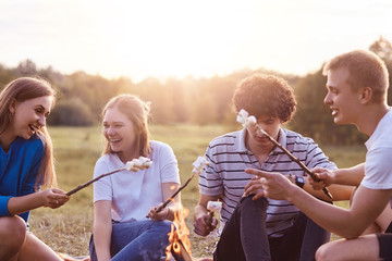 Photo of friendly company of friends have picnic outdoor, roast marshmallows over campfire, have...