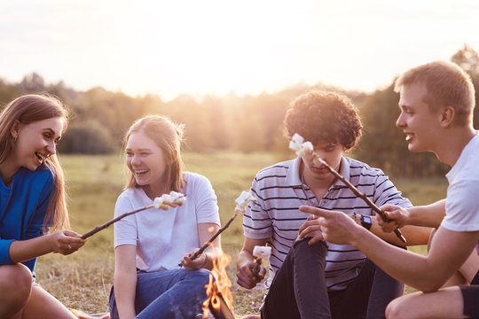 Photo of friendly company of friends have picnic outdoor, roast marshmallows over campfire, have positive expressions, pleasant lively talk, discuss something funny, pose outdoor. Friendship