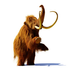Obraz premium mamut włochaty stojący na dwóch nogach, prehistoryczny ssak na białym tle z cieniem na białym tle (renderowanie 3d)