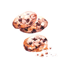 Watercolour hand painted illustration of chocolate cookies. Use for food and diet magazine article design web decoration cover and card.