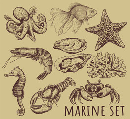 Marine animals collection illustration, 