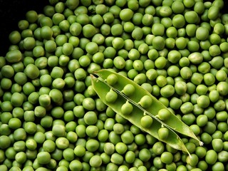 Fototapeta na wymiar green peas with an opened pod fruit Pisum sativum