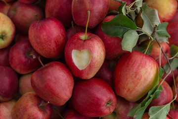Äpfel mit Herz 