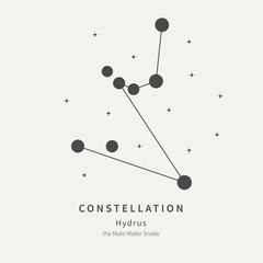 The Constellation Of Hydrus. The Male Water Snake - linear icon. Vector illustration of the concept of astronomy.