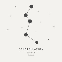 The Constellation Of Lacerta. The Lizard - linear icon. Vector illustration of the concept of astronomy.