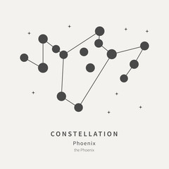 The Constellation Of Phoenix. The Phoenix - linear icon. Vector illustration of the concept of astronomy.