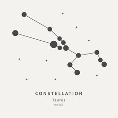 The Constellation Of Taurus. The Bull - linear icon. Vector illustration of the concept of astronomy.