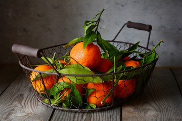 Tangerines (oranges, mandarins, clementines, citrus fruits) with leaves in basket on Gray background. Mandarin oranges with leaves in white basket on rustic wood background. Citrus