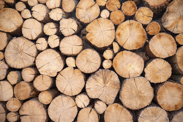 Cross section of the timber, firewood stack for the background. A lot of cutted logs. Stack of sawn logs. Natural wooden decor background. Pile of chopped fire wood prepared for winter.