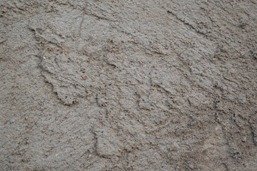 wall of concrete stony putty with irregularities for the design background