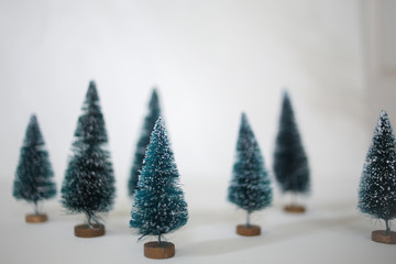 Christmas Trees with White Copy Space - Green Bottle Brush Christmas Trees with White Snow Tips Holiday Concept Background Christmas Composition