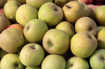 delicious apples for eating and for apple-pie