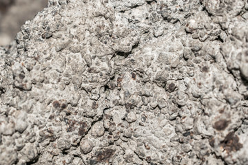 wall of concrete stony putty with irregularities for the design background