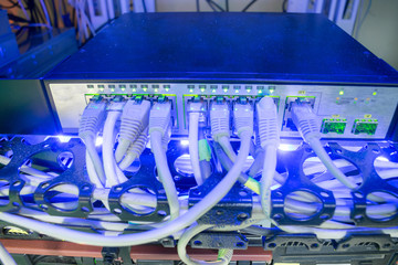 Telecommunication Ethernet Cables Connected to Internet Switch. Information Computer Technologies