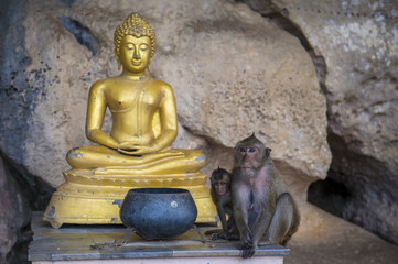 Monkey with Buddha statue